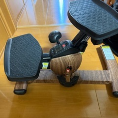 【東急スポーツ】【美品】Oasis　ツイストステッパーの画像