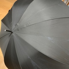 大きい傘の画像