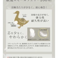 ⭐︎商談中⭐︎フェザー100%シングル掛け布団の画像