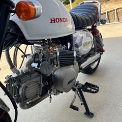 【動画】モンキーの画像