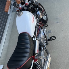 【動画】モンキーの画像