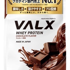 破格プロテインチョコ味の画像