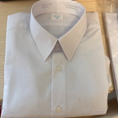 学校用　半袖シャツ　　　　 の画像