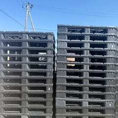 プラスチックパレット枠有り· 長さ122cm × 幅115cm·の画像