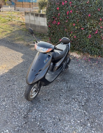 1228.ホンダライブディオZX仕様2スト原付バイク50cc 車体埼玉 (556