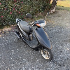 1228.ホンダ　ライブディオZX仕様　2スト　原付　バイク　50cc 車体　埼玉の画像
