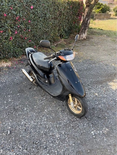 1231.ホンダ　ライブディオZX 中期　社外マフラー　原付　バイク　50cc 車体