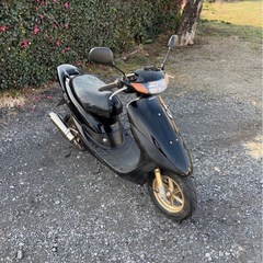 1231.ホンダ　ライブディオZX 中期　社外マフラー　原付　バイク　50cc 車体の画像