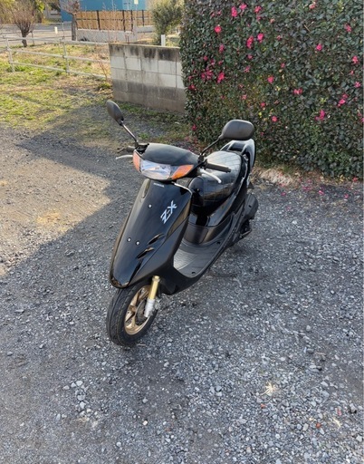 1231.ホンダライブディオZX 中期社外マフラー原付バイク50cc 車体 (556