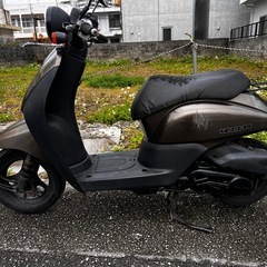原付ホンダトゥデイ　自賠責保険残りの画像