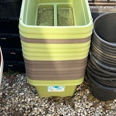 【取引中】メダカ飼育用プランター、NVボックスの画像
