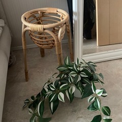 IKEA フェイク観葉植物&ラタンスタンドの画像