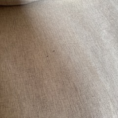 洗えるソファーの画像