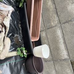 プランターの画像