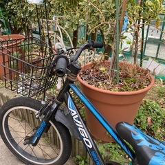 幼児自転車の画像