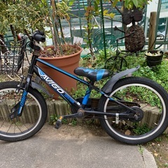 幼児自転車の画像