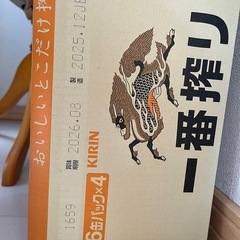 【受渡決定】キリン　一番搾り　500ml×24本の画像