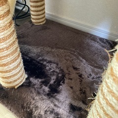 キャットタワーの画像