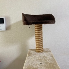 キャットタワーの画像