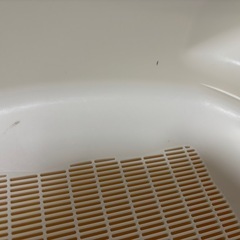 猫用トイレの画像