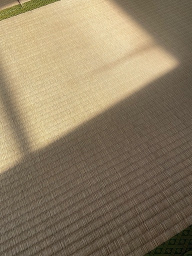 畳6畳分　　　　　