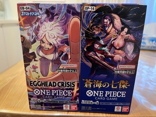 ワンピースカード　エッグヘッドと
蒼海