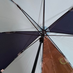 幼児　　男の子　傘　2本の画像