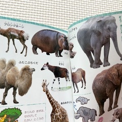 【無料】ポケットずかん４冊　お出掛けのお供に！の画像