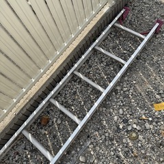 ハセガワ　ハシゴ　梯子　5.1mの画像