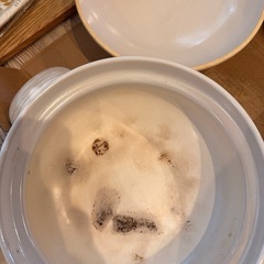 土鍋　　8号　2〜3人用の画像