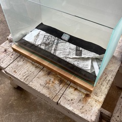 60cm規格　縁無しガラス水槽　3面すりガラス　中古の画像
