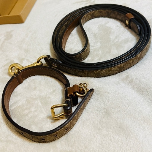 美品 COACH 小型犬首輪リードセットS 箱付　シグネチャー柄型番F26175/F26176