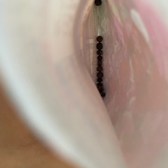 スイートピーの種　園芸用
の画像