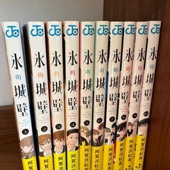 氷の城壁1〜10巻の画像