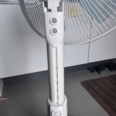 2022年製 30cmリビング扇 無料 3/5までの画像