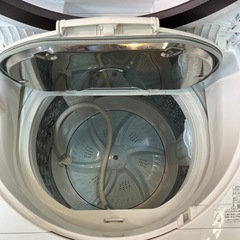 TOSHIBA 縦型洗濯機 2023年製 8.0kgの画像