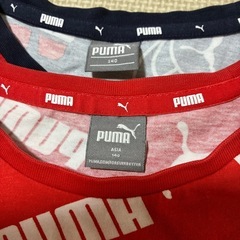 【お取引き決定】キッズ140㎝✨PUMA✨半袖Tシャツ✨男児✨まとめ売り✨子供服の画像