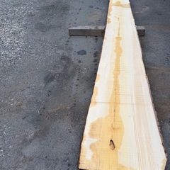 何かわからない木　耳付き　カウンターなどにの画像