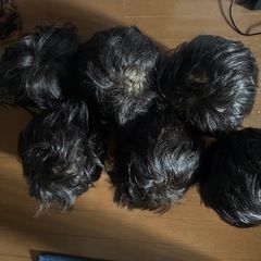 国試カットウィッグ  (カット済み)の画像