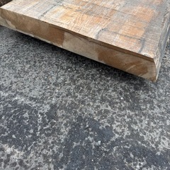 無加工　木の画像