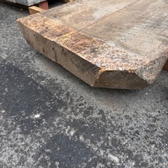 無加工　木の画像