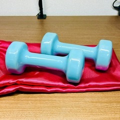 SINTEX（シンテックス）カラーアレー 2kg × 2個セット 水色（中古・使用感あり）の画像