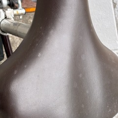 ブリヂストン　アシスタ　電動アシスト自転車
の画像