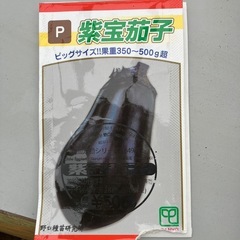 家庭菜園、自然農、無肥料無農薬の各種苗の画像