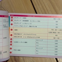 東京ドームシティ  得10チケット 2冊 20ポイントの画像