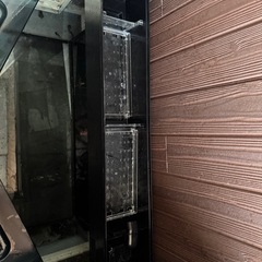 オールガラス水槽の画像