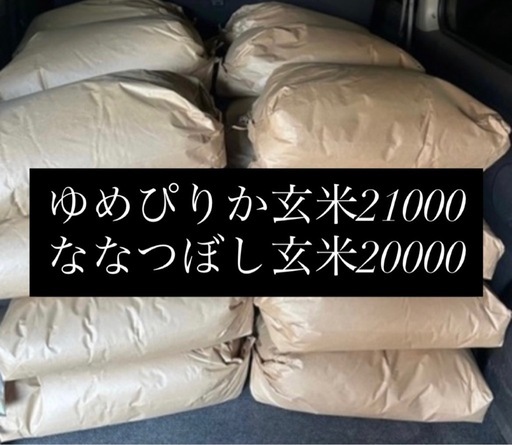 大人気 米 玄米30キロ