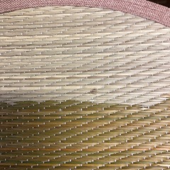 猫　円形畳　クッションの画像