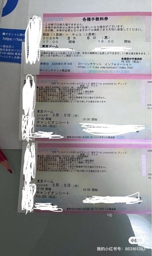 WBC 3/5 韓国 vs チェコ【当面取引可能】 　