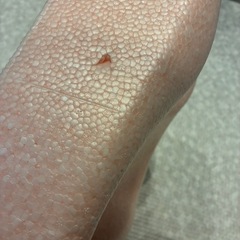 リッチェル ひんやりしないおふろマットの画像